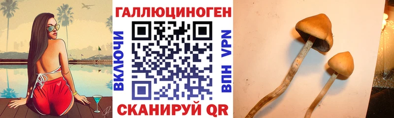 Купить закладки  Спас-Клепики  Галлюциногенные грибы Psilocybe 